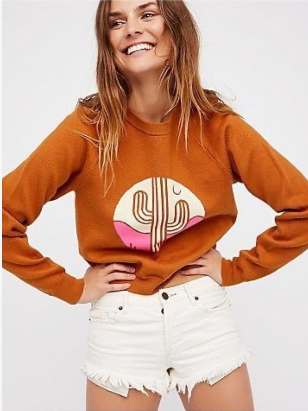 Free People Cactus Graphic Sweater Rust Pink Southwestern Pullover M
